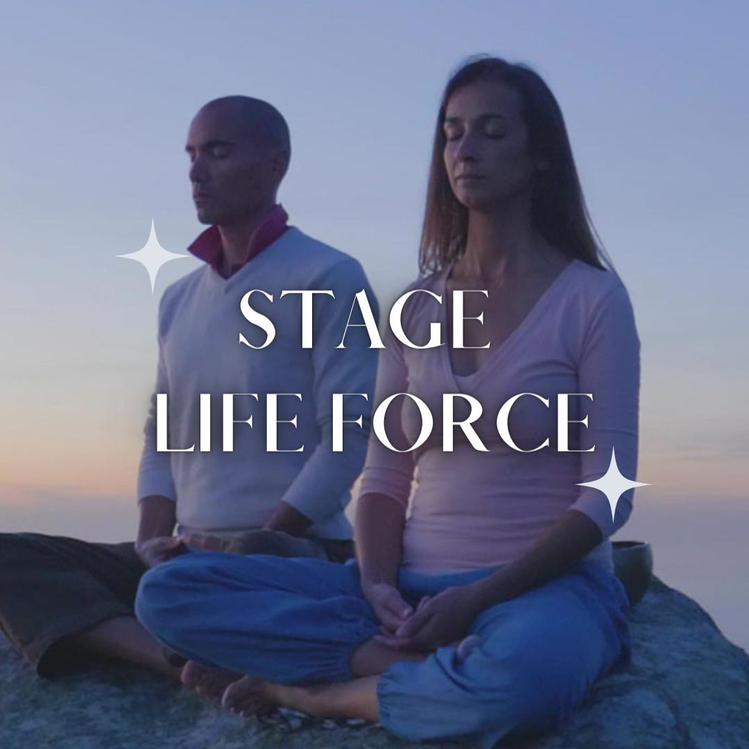 You are currently viewing Stage avec David Tan – LifeForce